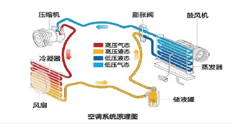 1715563231290.png 1.png